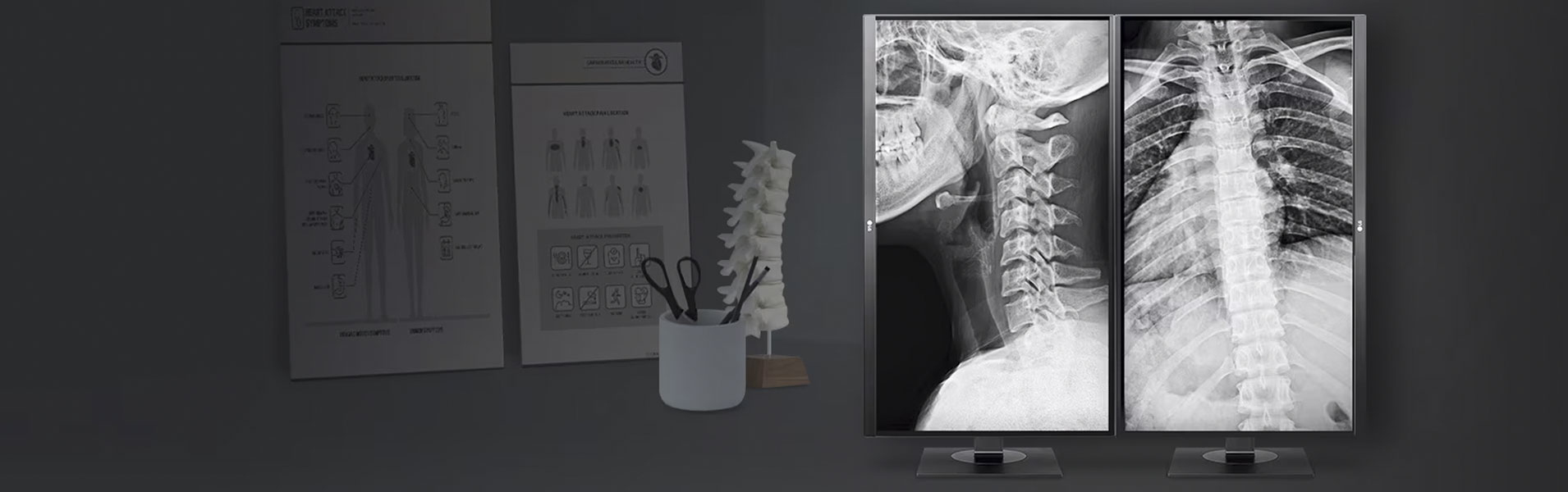 LG Diagnostic Monitors
