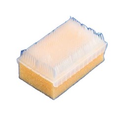BD E-Z Scrub Brush - Dry - Pack of 30