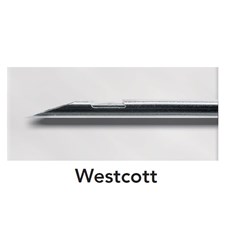 NEEDLE BIOPSY WESTCOTT 20GX5.5"