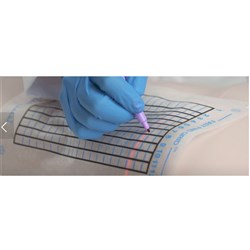 Fast Find Grid - Disposable - 7.5" x 10.5" - Pack of 25