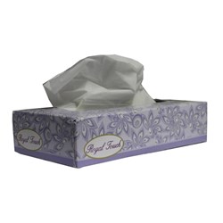 Facial Tissues - 100 Sheets - Pack of 48