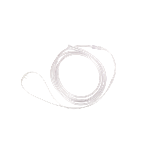 AN070000NS_A
